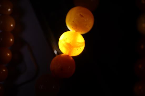 A single strand amber bead necklace, gross weight 28 grams and two other necklaces.